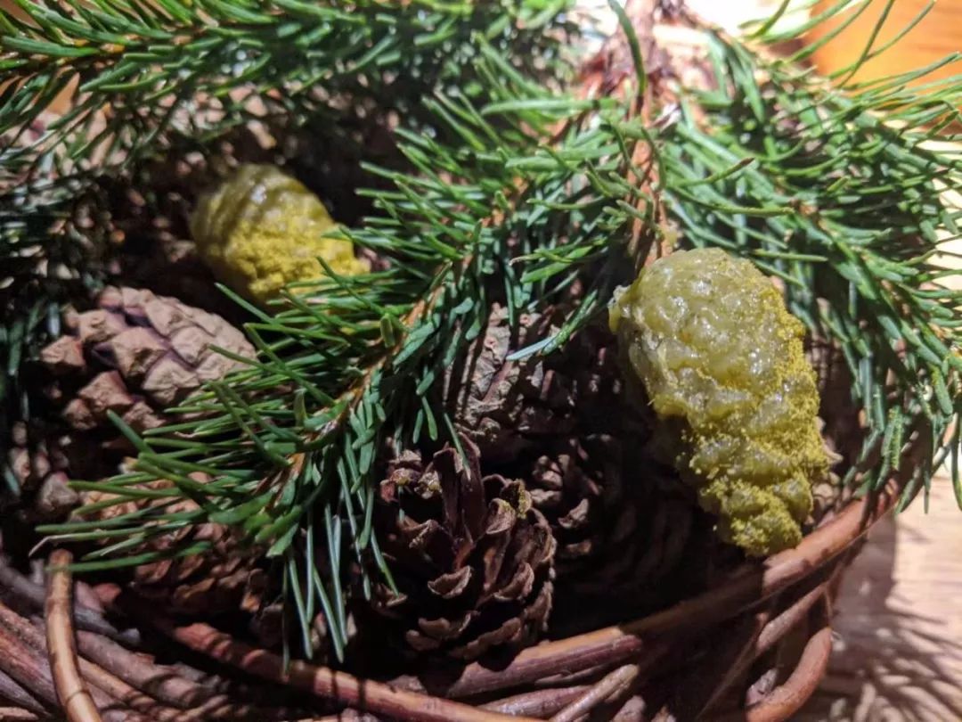 世界第一餐厅NOMA:“有什么吃什么”的能耐和“改变世界”的勇气