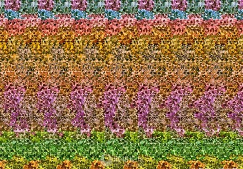 有意思的三维视频,有意思的图片配图