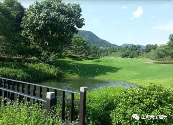 假期给大家送个福利,假期超强福利分享礼包