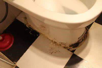 家里卫生间反臭找谁解决,家里卫生间反臭味怎么解决