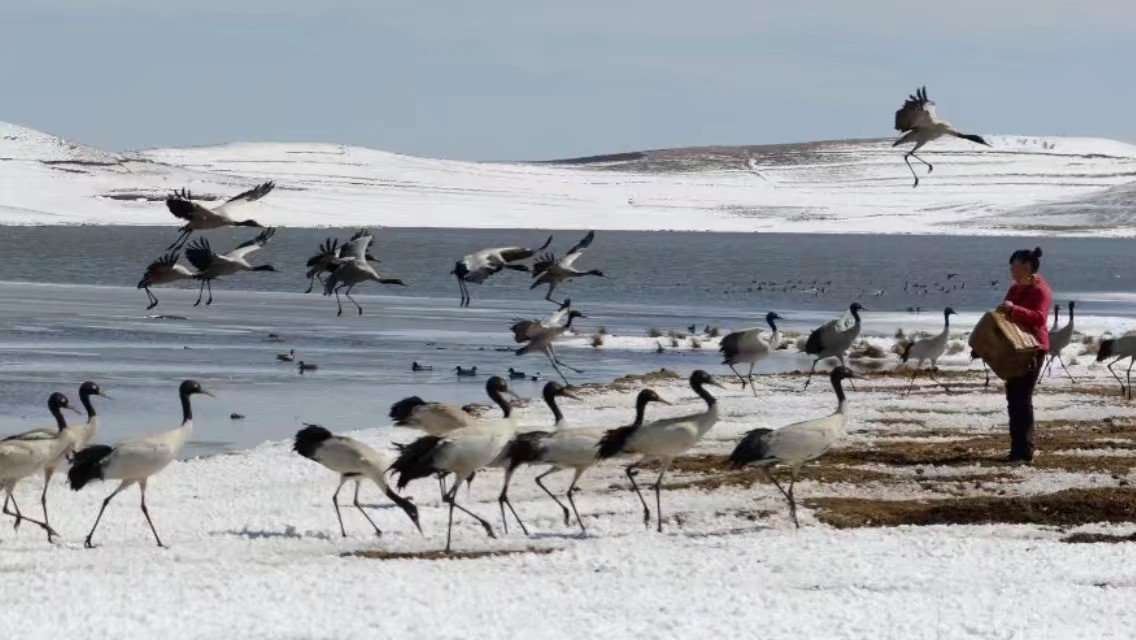 云南昭通大山包附近有什么好玩的,云南昭通大山包景区
