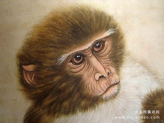 2020年12生肖时运表,十二生肖2020年事业运排行榜