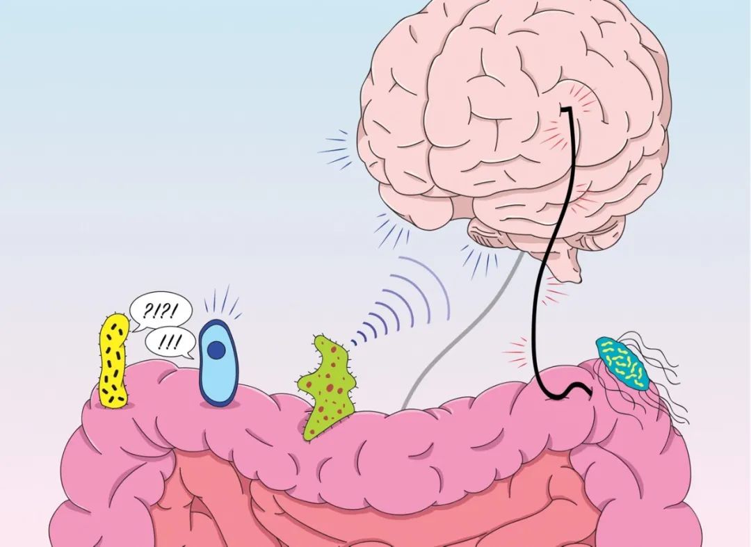 肠的秘密解读大全,肠瘘你了解多少