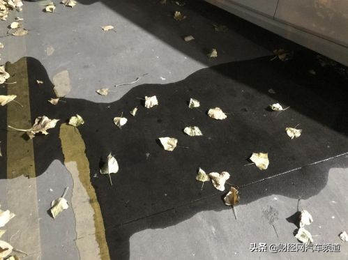 2010年宝马3系油箱油泵盖漏油,宝马新3系还烧机油漏油吗