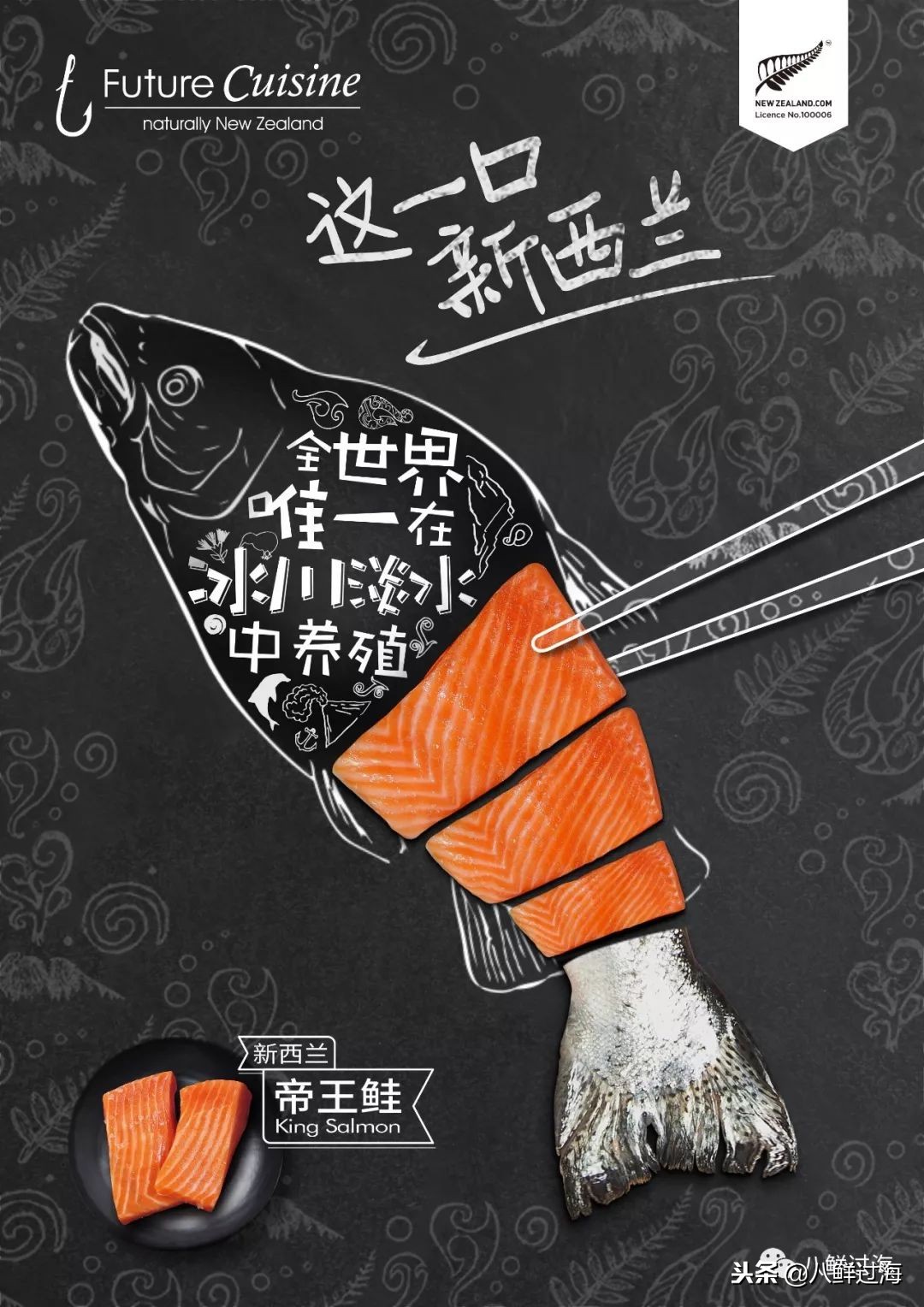 引入活青口贝、鲜帝王鲑,新西兰海产出口商的新生力量!