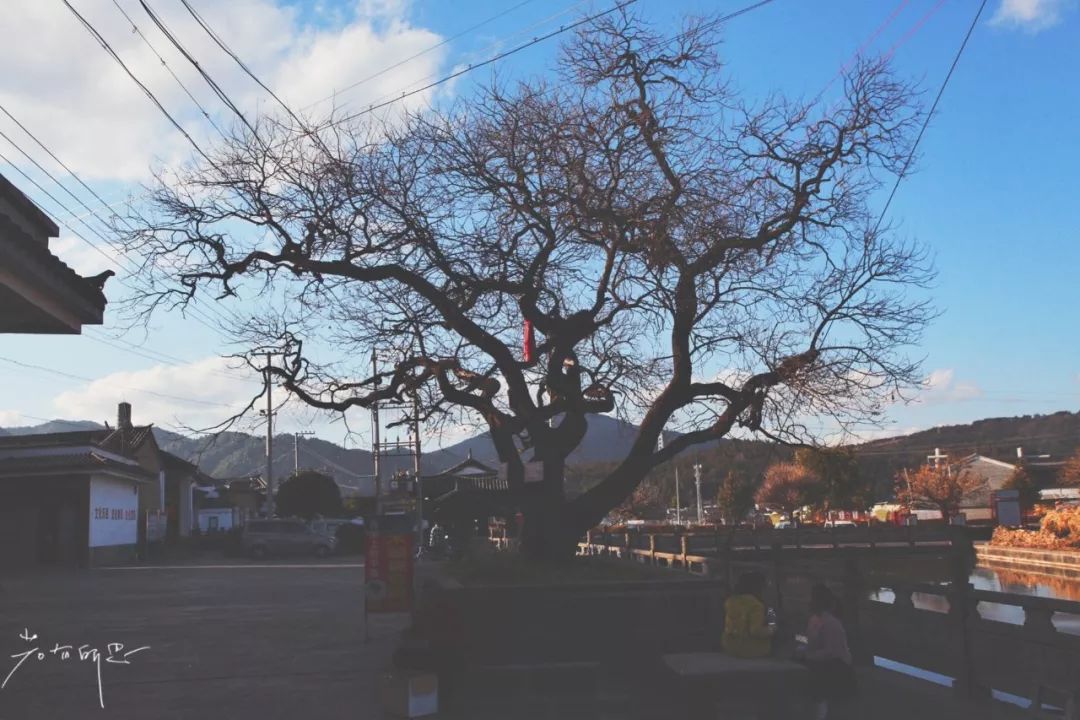 极边之城腾冲，来这里必做的八件事，否则白来了