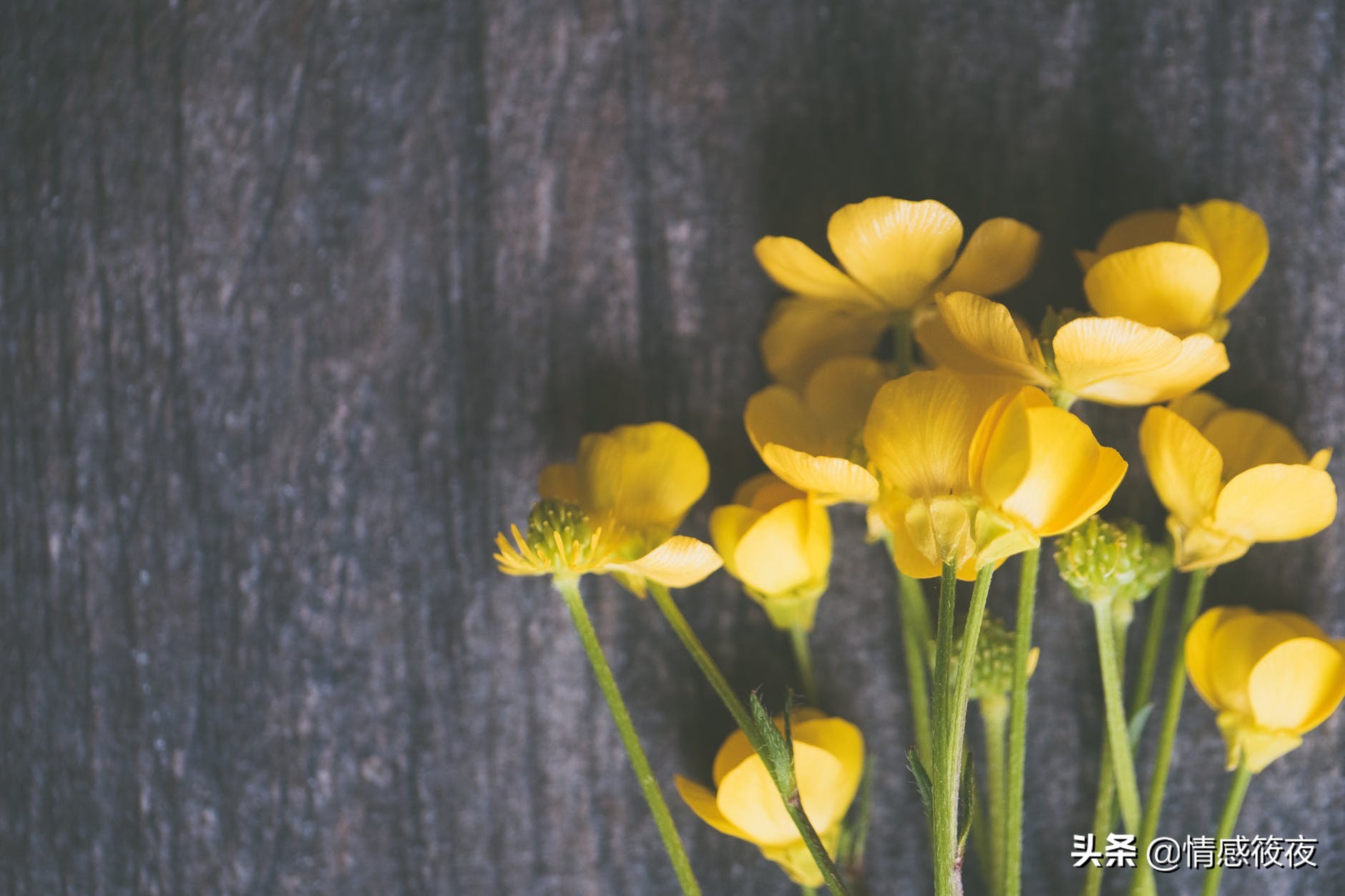 邻居关系怎么修复,与邻居发生矛盾如何处理