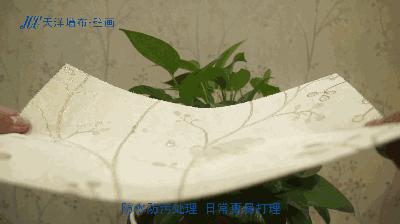 家装墙壁画,怎样选择背景墙壁画