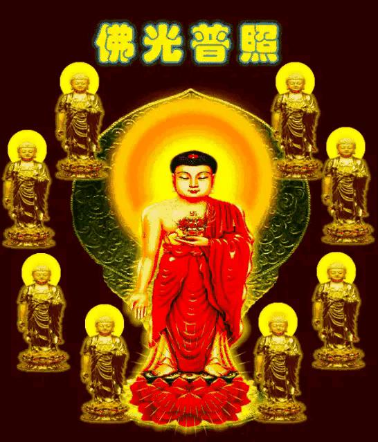 晚上睡不着听什么佛和咒语,晚上睡不着听阿弥陀佛