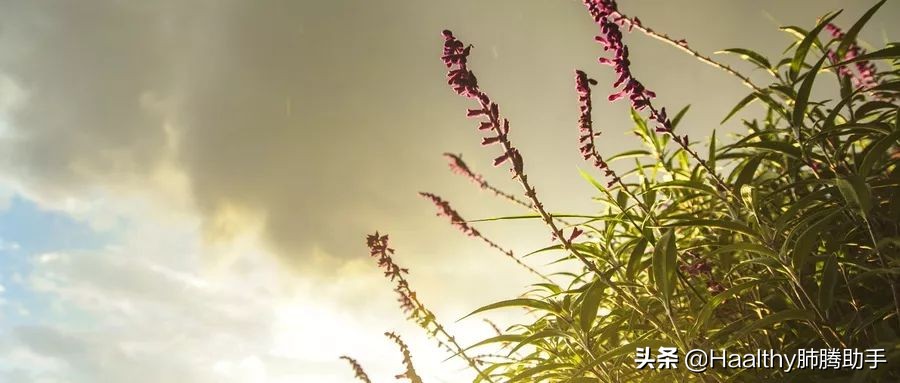 误诊过、复发过、假药吃过,我是34岁的晚期肺腺癌患者,我爱生活