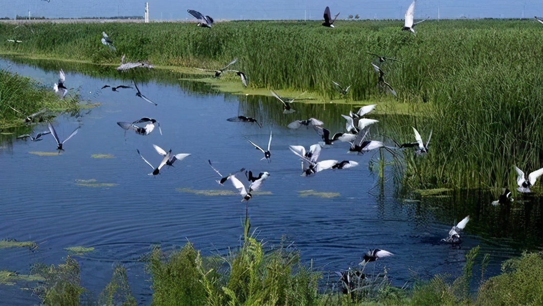 唐山地震完整版,唐山地震游玩