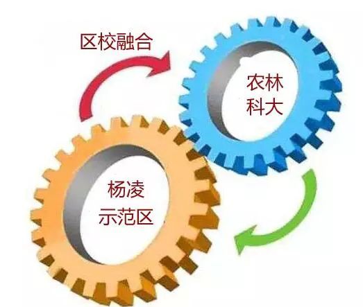 杨凌马拉松和扬州马拉松,杨凌马拉松杨凌大道吗