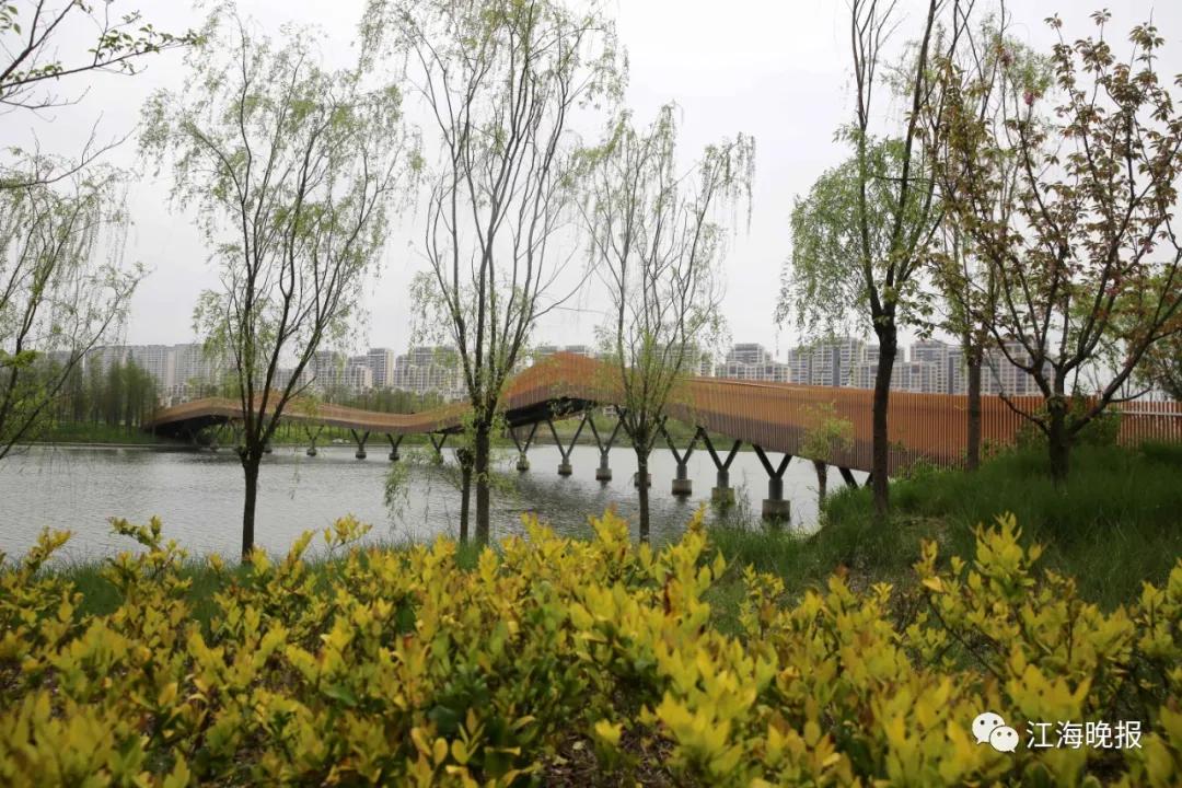 南通这些“网红”步道,你去过吗?