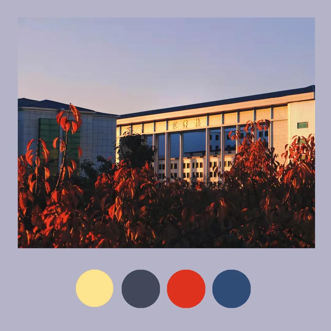 色彩里的构图,色彩中的光感