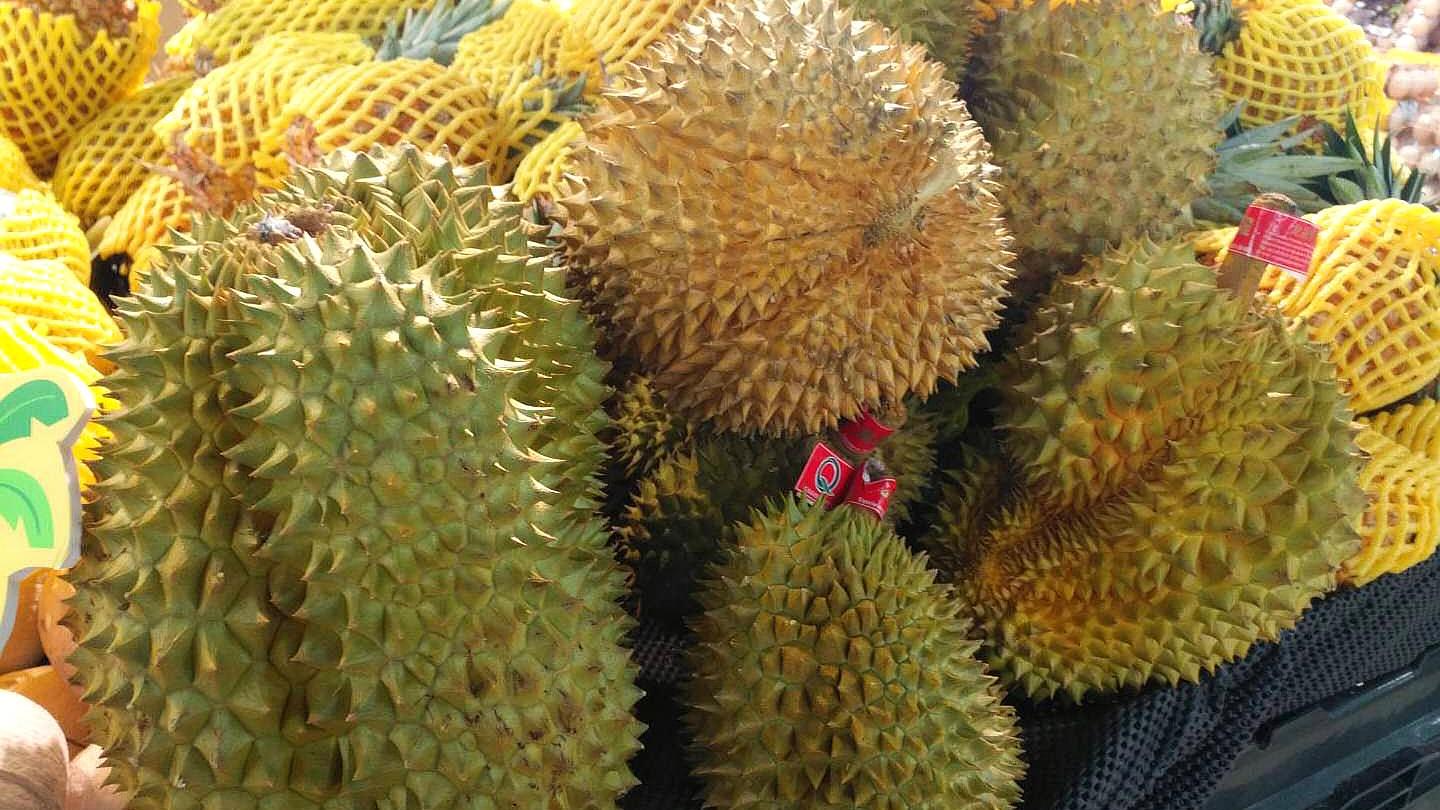 榴莲为什么有特殊的气味和味道,榴莲有酒味微微发苦吃了肚子疼