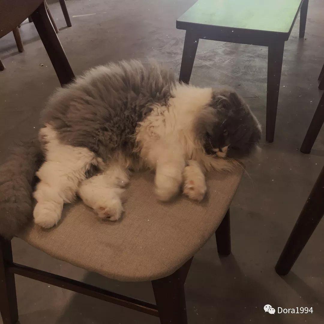 深圳适合放松的咖啡厅,深圳适合一个人打卡拍照的咖啡厅