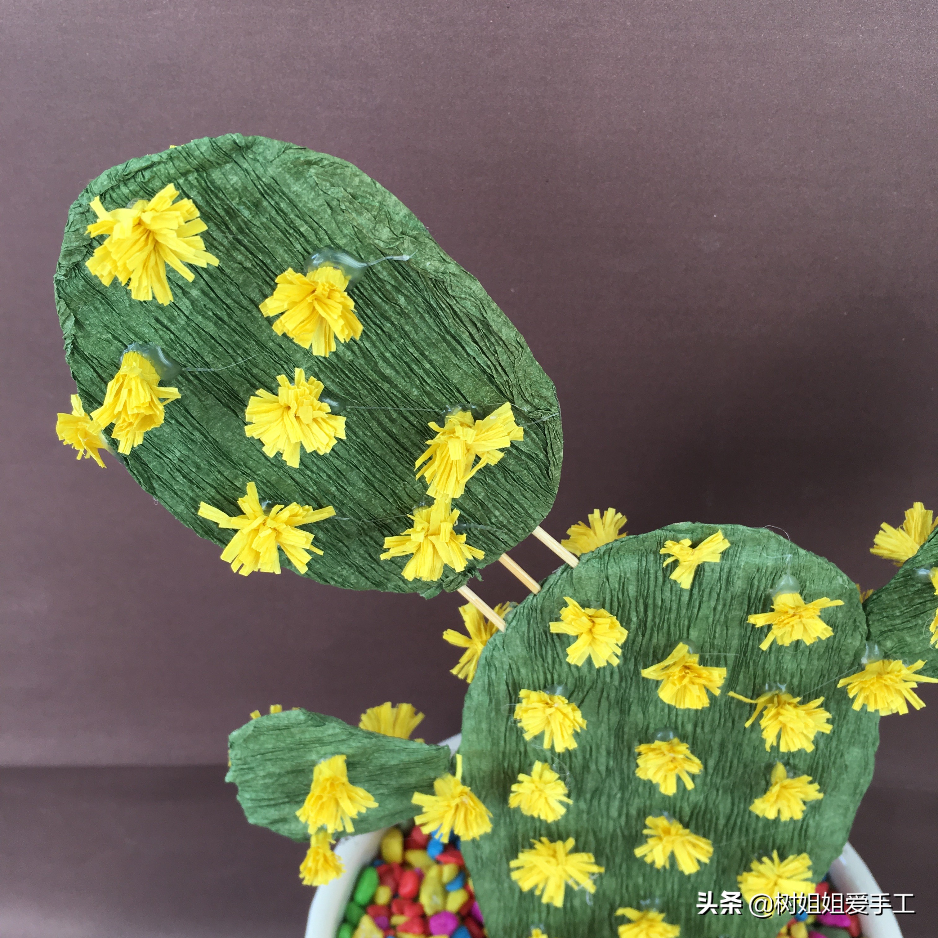 利用废酒瓶做的盆景,用废弃的缸做盆景