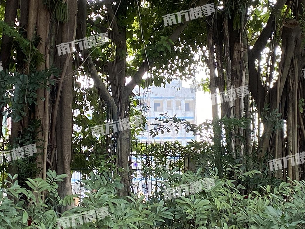 娣卞湷涓囦汉宸ュ巶鎼縼浜嗗悧,娣卞湷涓囦汉宸ュ巶鎼蛋鍚庣殑鎰熻