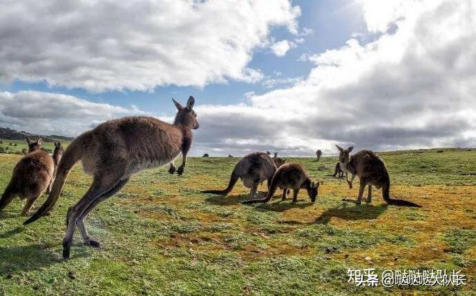 为什么会这么多人选择去国外打洋工？