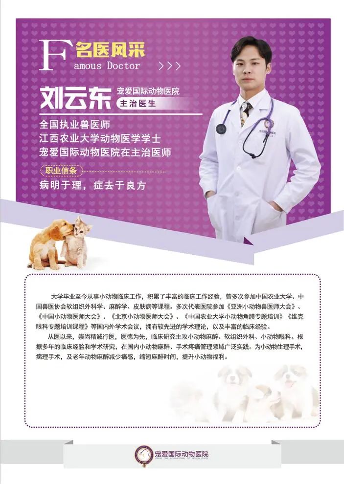 猫咪到底为什么绝育后还会发情呢?