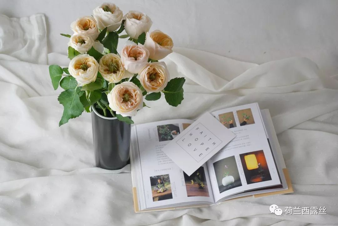 古代的四大美人的名字,古代四大美人中有羞花之称的是谁