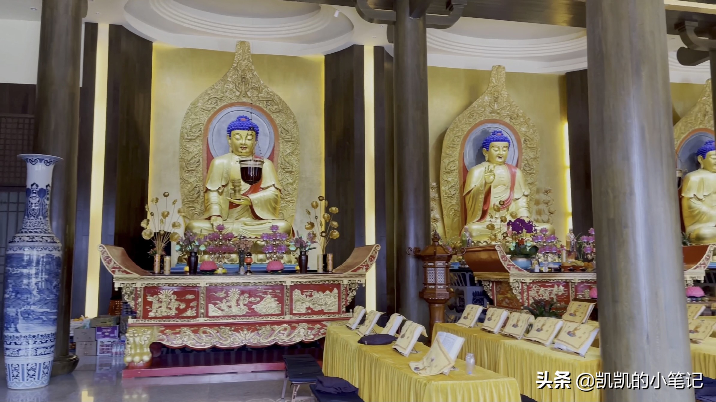 横山寺樱花园门票,横山寺和龙王塘樱花园