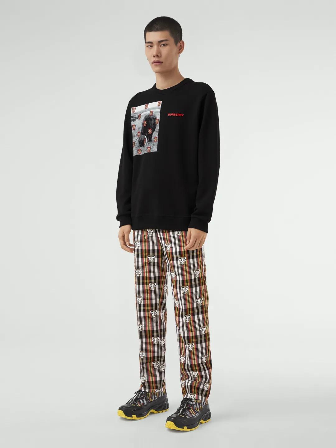 burberry兔年新款,burberry2019早春款