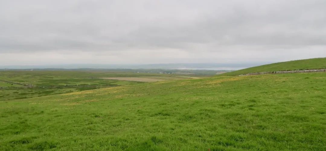 飞鸟越过珊瑚海,飞鸟越过山林