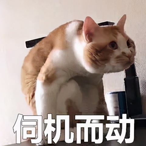 这家店的设计,太上头了!「杰视帮」