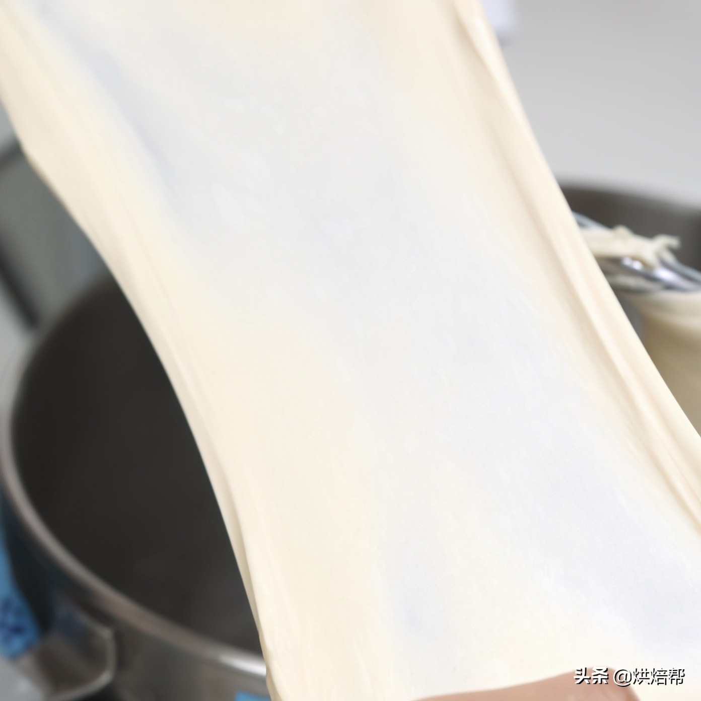 日本爆火吐司,日本生吐司中种