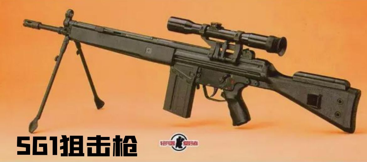 英国枪史图册全篇,德国枪图片