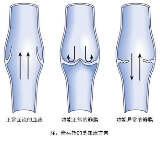 偶尔睾丸有坠痛感,睾丸两侧大腿沟潮湿会影响生育吗