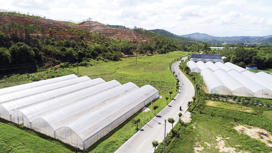 惠州市乡村振兴申报项目名单,惠州乡村振兴