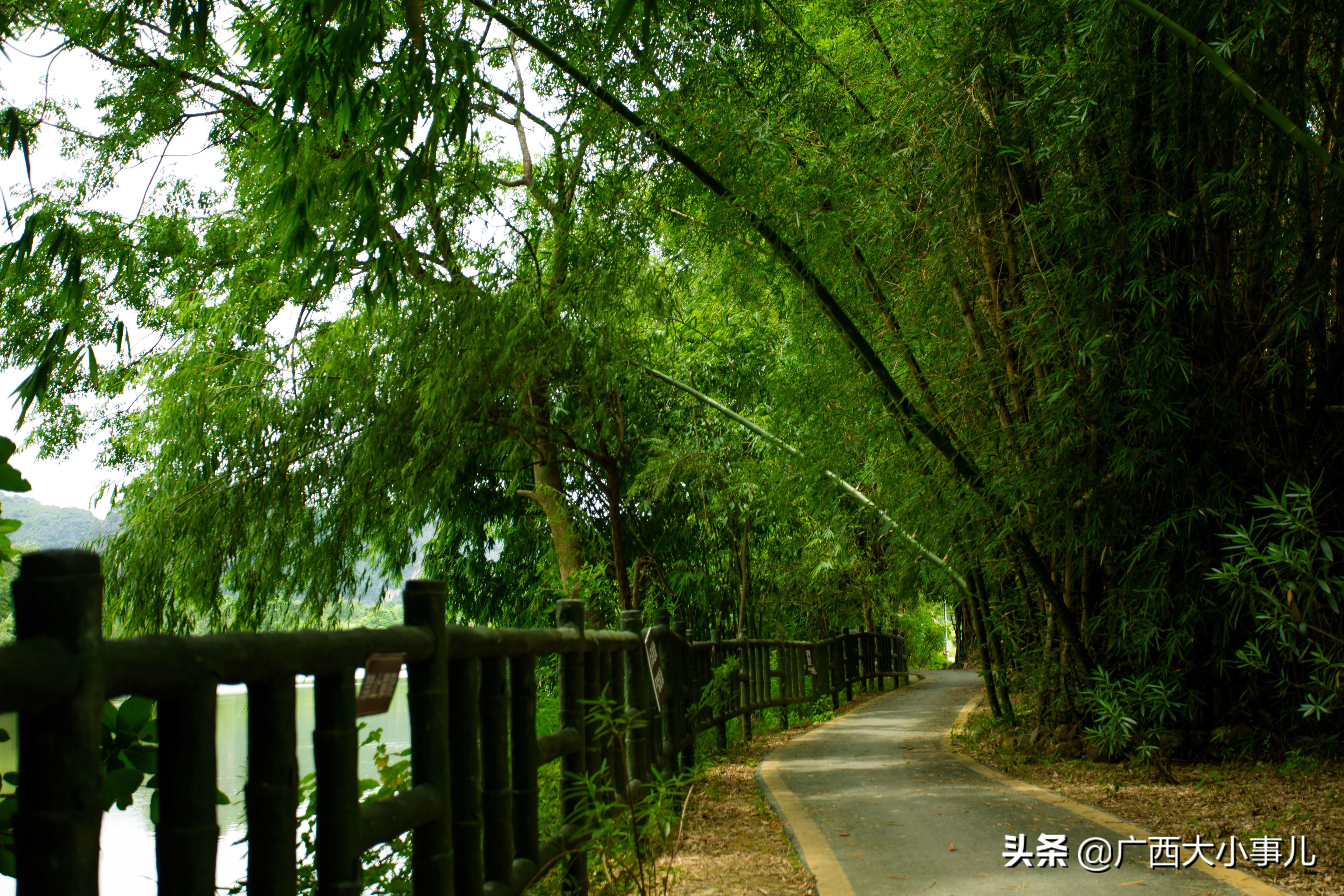 遇见别样的风景,上林风景一日游