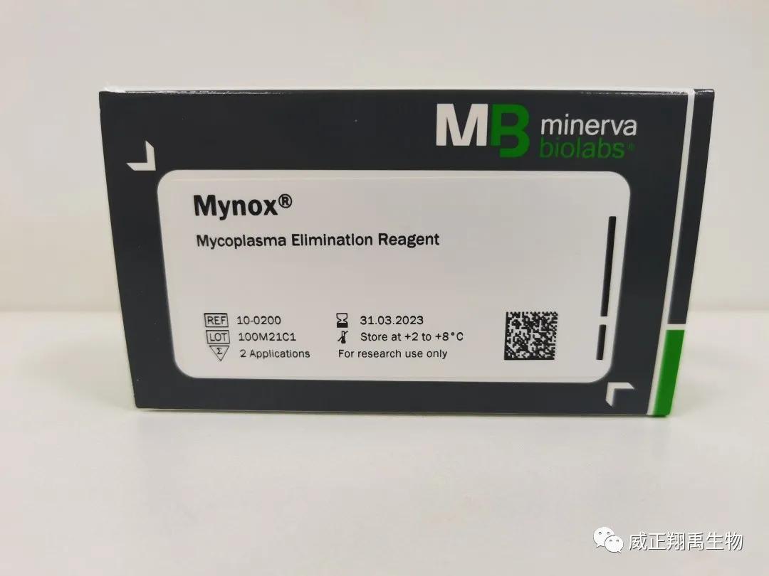 支原体污染怎么处理,支原体污染