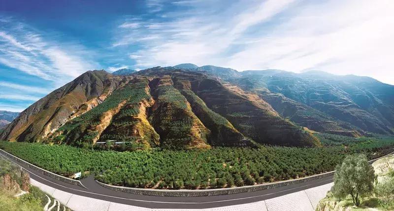 武都的风景大全,武都美丽景色