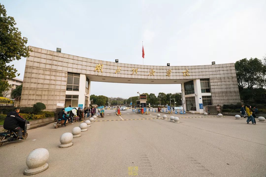 自从藏龙岛有了南延线,我就再没羡慕过别人家的学校!