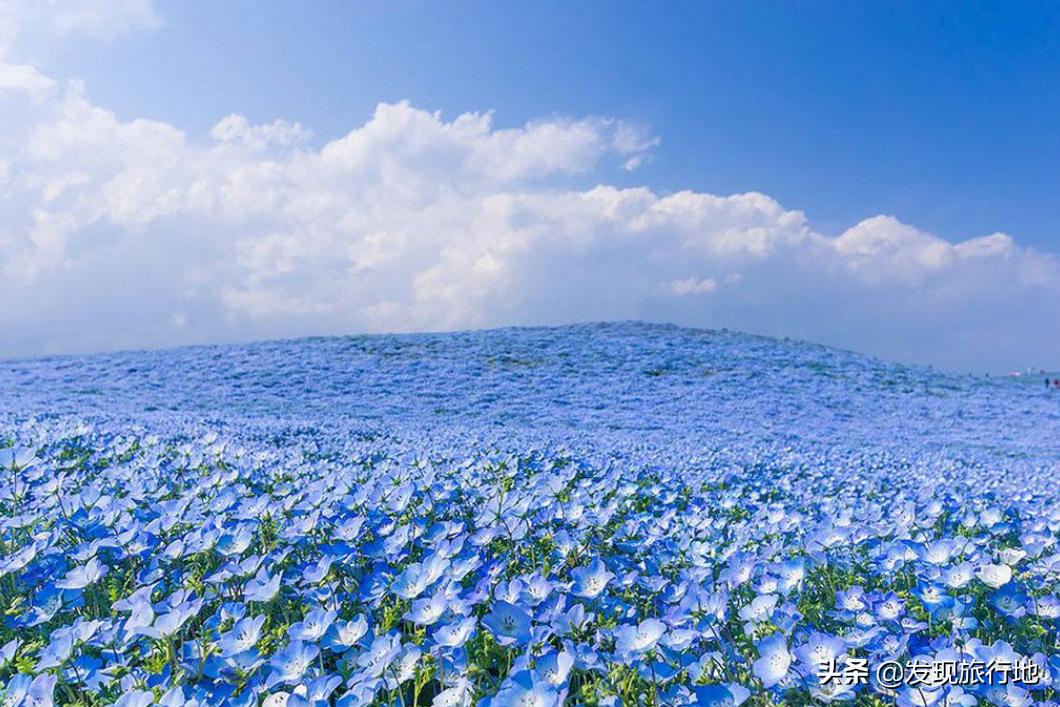 我们用来扫地的东西，在日本身价翻了千倍，还变成了旅游地标