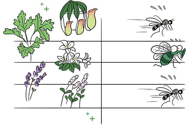 古代粮食怎么驱虫,古人驱虫用什么