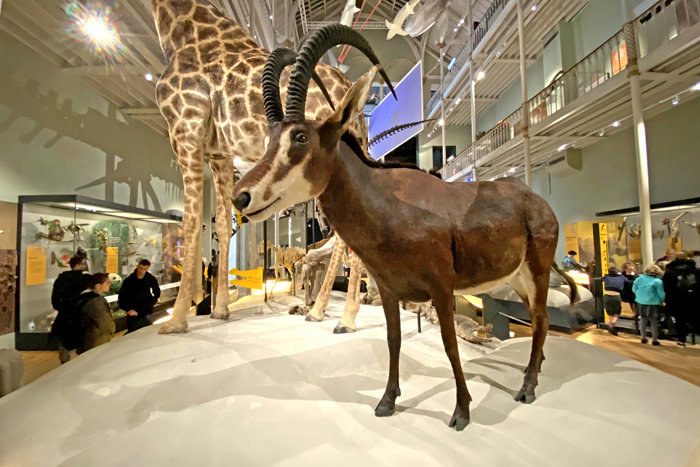 英国爱丁堡房价最新价格,英国爱丁堡全景图