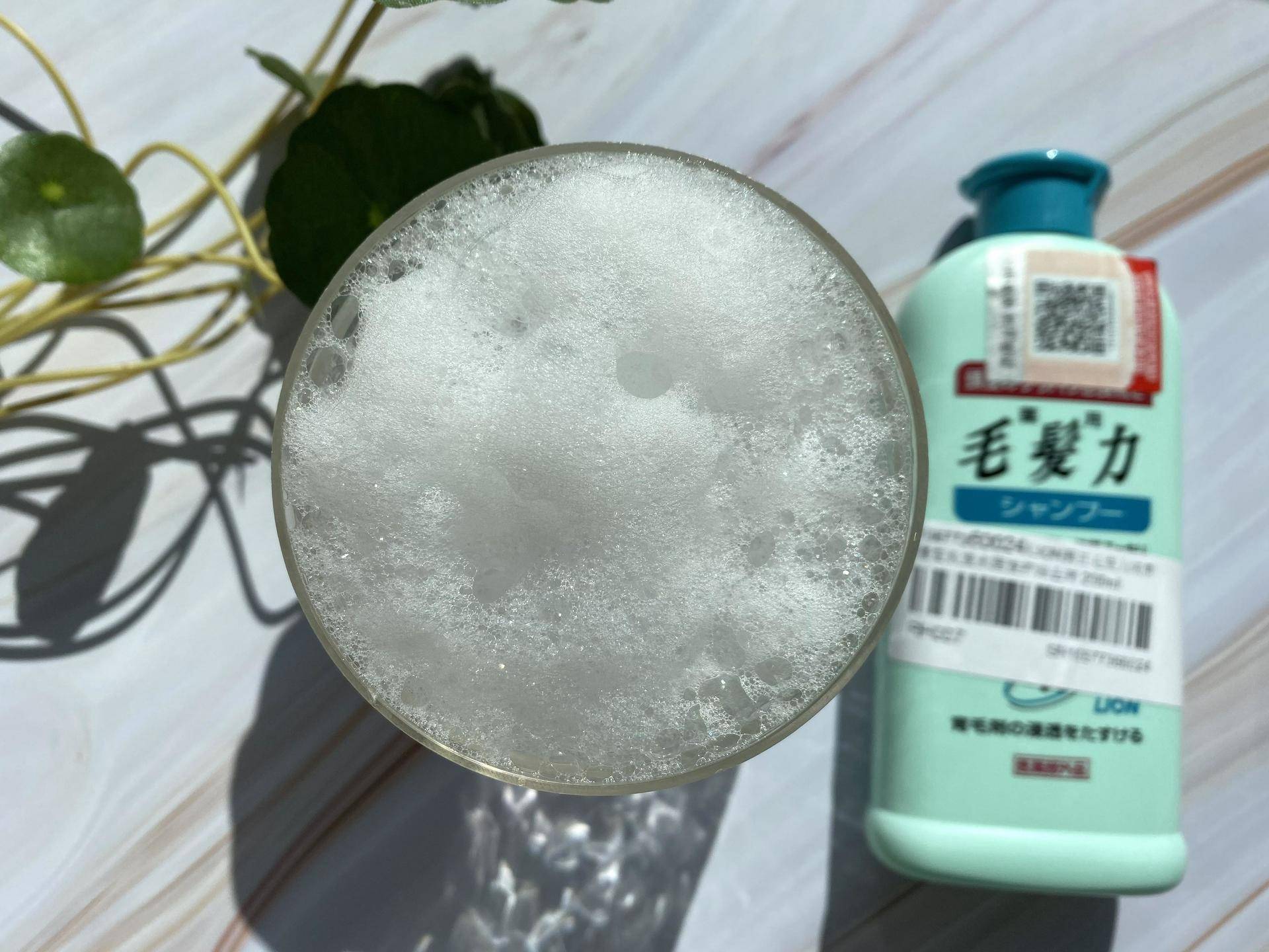 乱花渐欲迷人眼好在哪里,乱花渐欲迷人眼怎么样