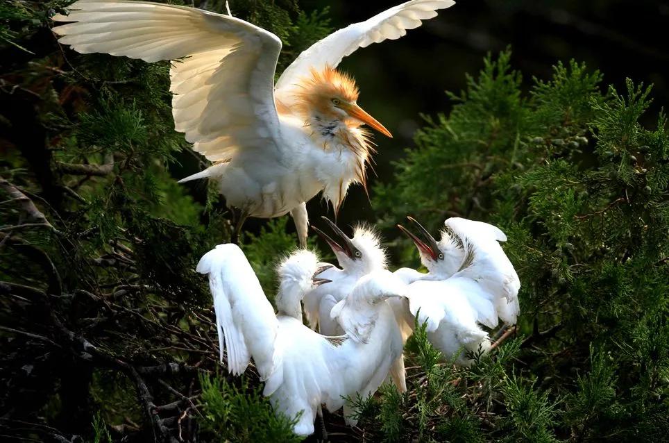 宿迁定居的优缺点,宿迁居住环境