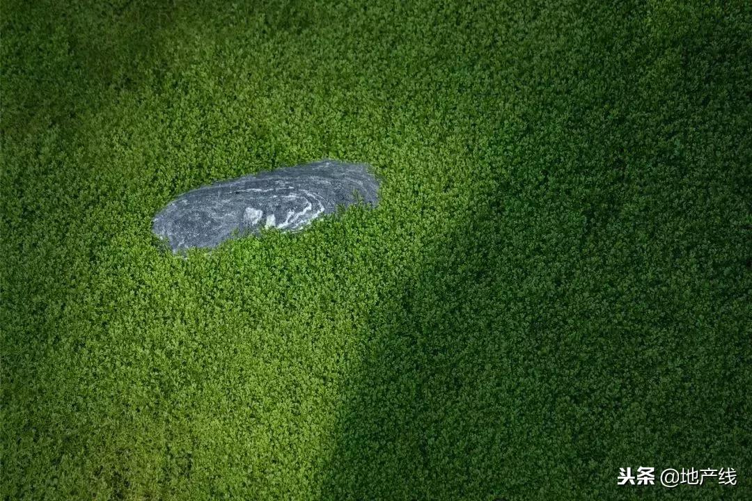 花开成都金堂,花开成都后花园