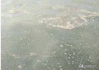 池塘传出阵阵的恶臭，鱼出现各种病症，要怎么解决？