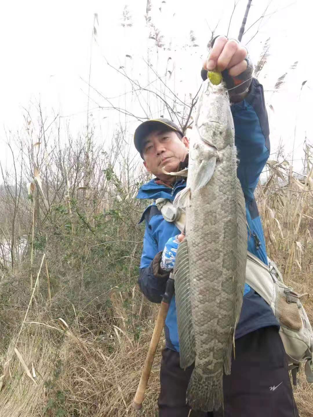 crony科尼渔具,crony科尼路亚微物竿