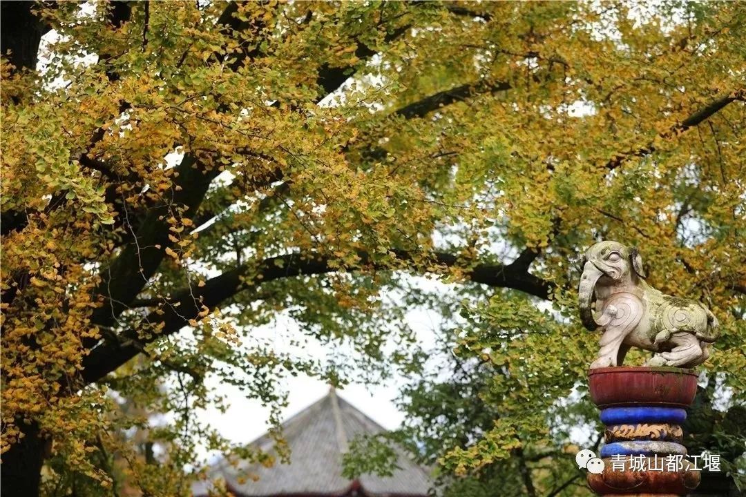 坐上公交去旅行!跟着这条101路线,带你玩遍大半个都江堰~一站一景,吃喝玩乐一网打尽!