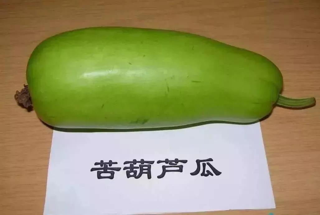 葫芦瓜发苦中毒症状,葫芦瓜发苦有没有毒