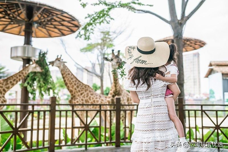 厦门灵玲动物王国大熊猫,厦门马戏团灵玲动物王国观光游览