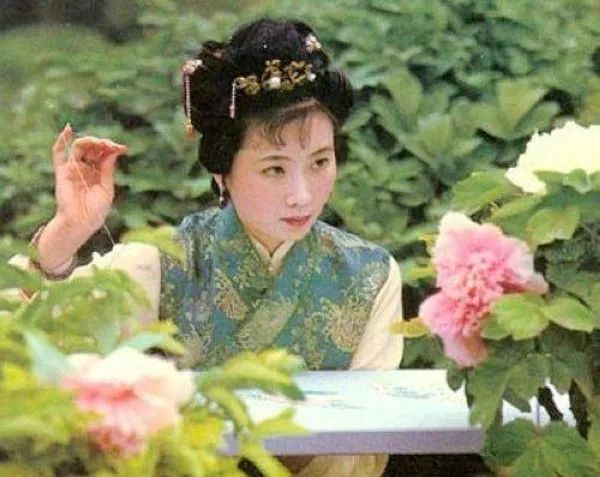 蒋勋红楼梦青年版,蒋勋讲红楼梦中的人物