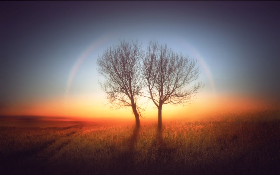 我们是怎样度过人生的,你怎么度过疫情就怎么度过一生